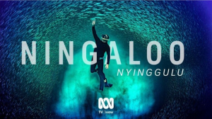 Ningaloo Documentary publicity image